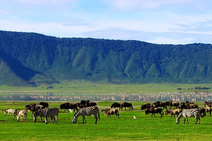 3 Day Tanzania Safari