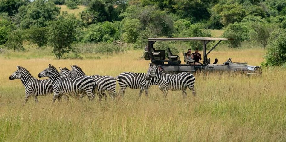 12 Days Rwanda Safari Tour