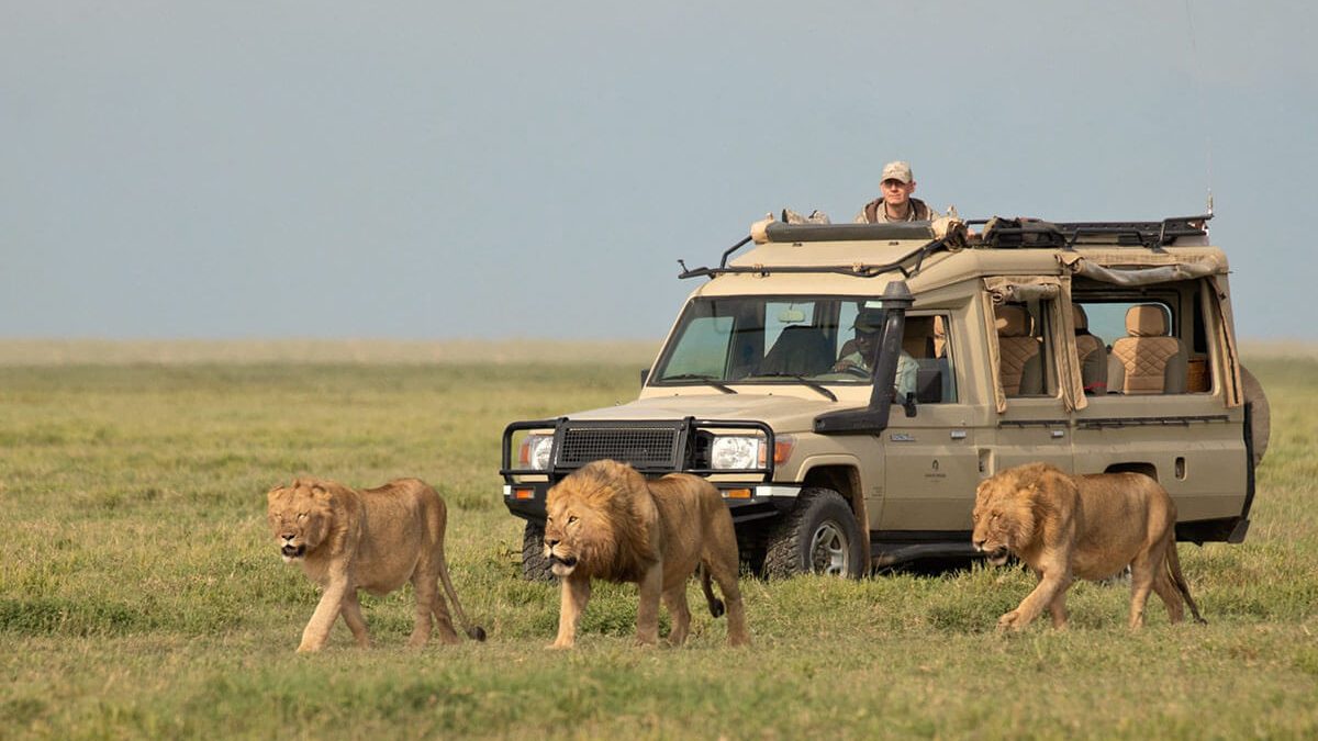 3 Days Serengeti and Ngorongoro Safari from Zanzibar