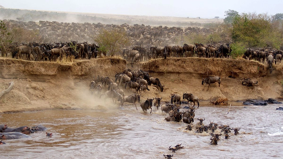 6 Days Lake Baringo - Maasai Mara & Lake Nakuru