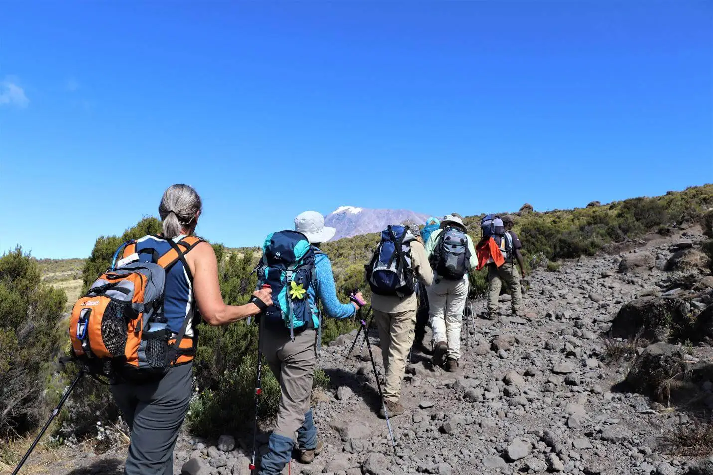 Mount Kilimanjaro National Park 