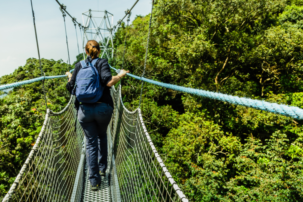 Nyungwe Forest National Park