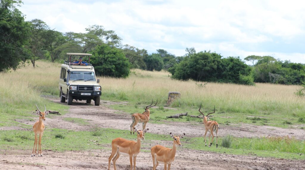 Lake Mburo National Park