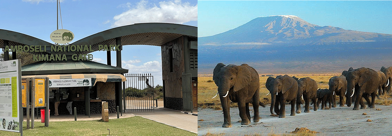 Amboseli National Park