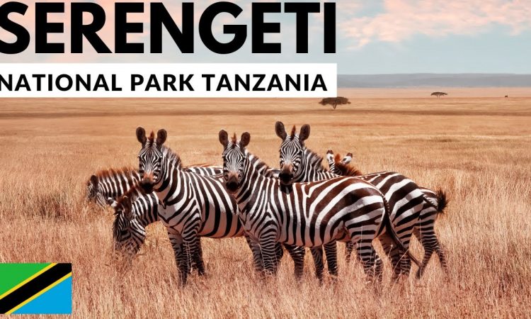 9 Days Kenya and Tanzania Safari