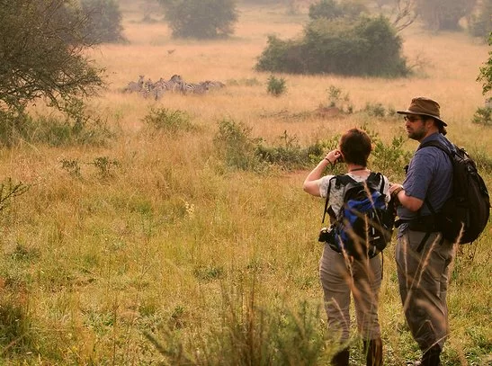 Kidepo Valley National Park