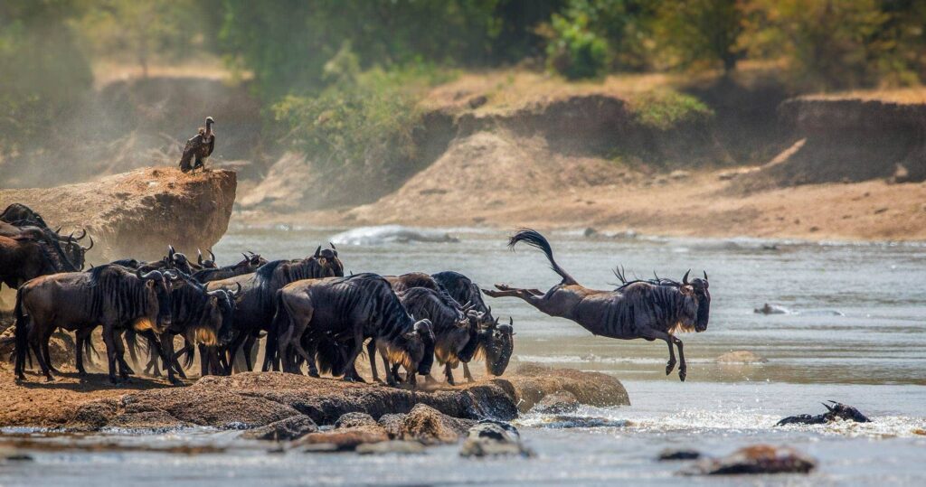 Serengeti National Park